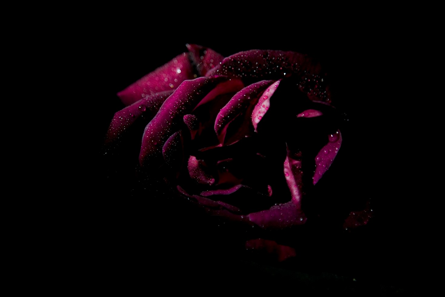 Die Kunst der dunklen Romantik: Einblicke von Viktoria L. Thorne